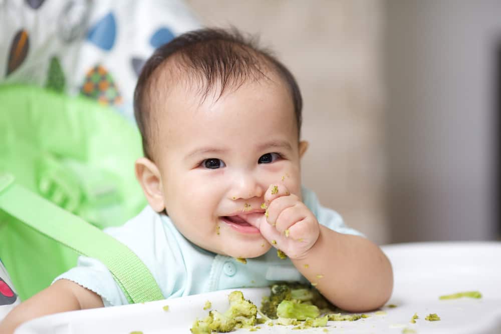 Ăn thô sớm có hại cho dạ dày của bé hay không?