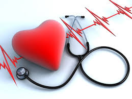 Yến mạch tốt cho tim mạch, giảm nguy cơ ung thư